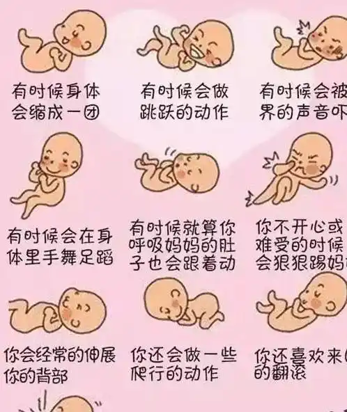 准妈妈怀孕五月羊水破了,仍坚持两个月,生下了双胞胎_胎儿_劳拉