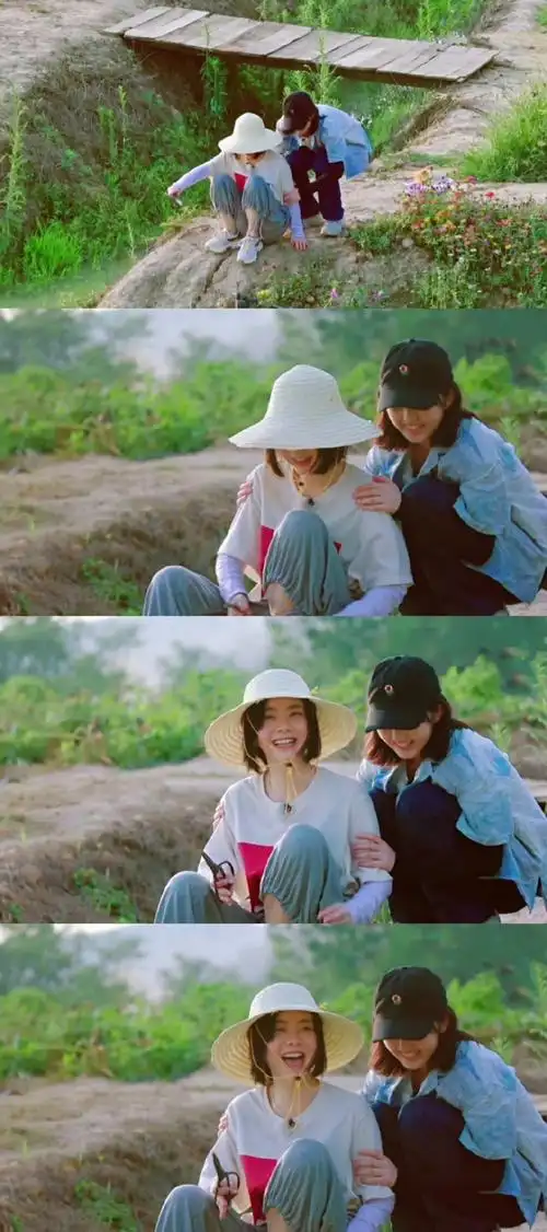 谭松韵说遗憾没有见到张子枫##向往的生活