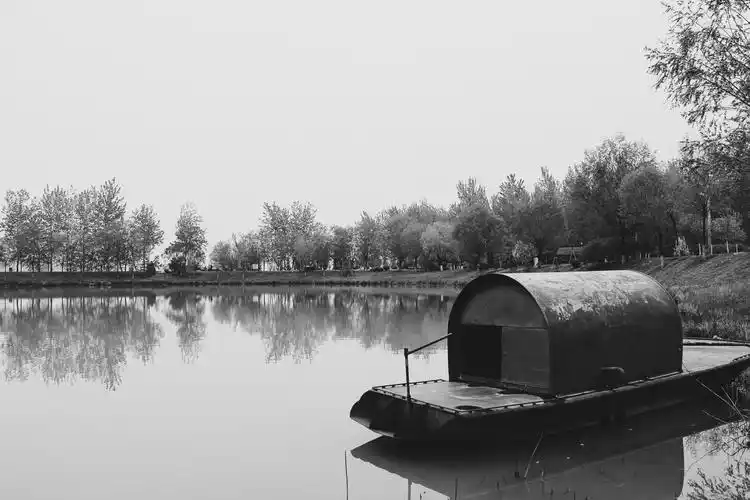 黑白 冷淡风 摄影壁纸 风景