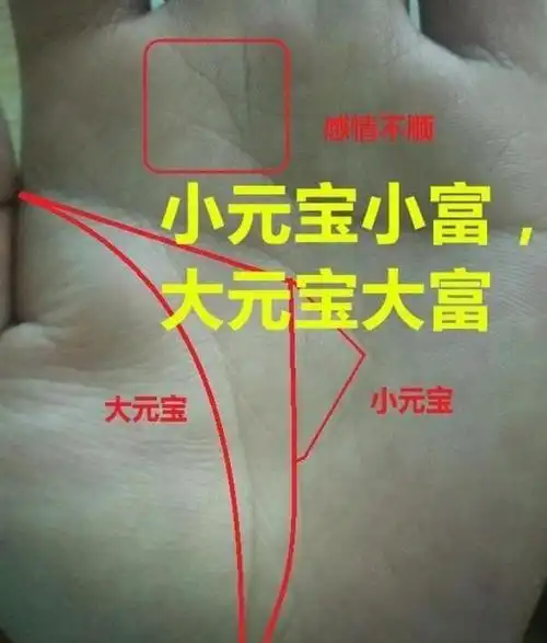 龙头纹,白手起家的手相,早年穷的一清二白,中年后翻身做老板