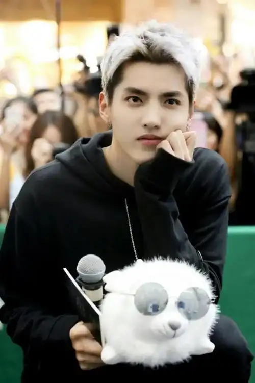 吴亦凡个人简介 个人资料电视剧 吴亦凡的个人简介 - 网络编辑之家