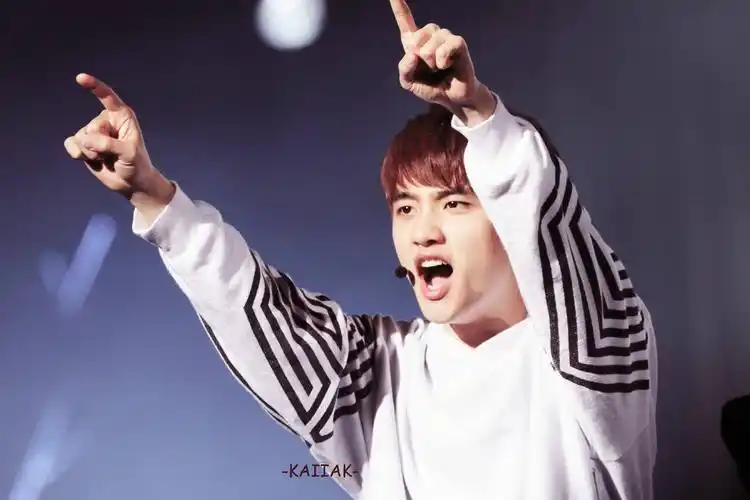 exo-k 都暻秀 d.o 演唱会 - 堆糖,美图壁纸兴趣社区