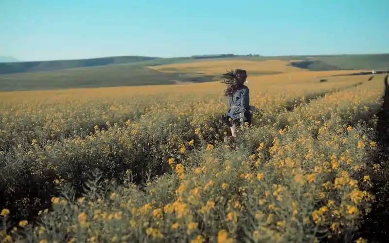 【催眠钢琴曲】仅需10分钟,舒缓钢琴曲伴你轻松入眠