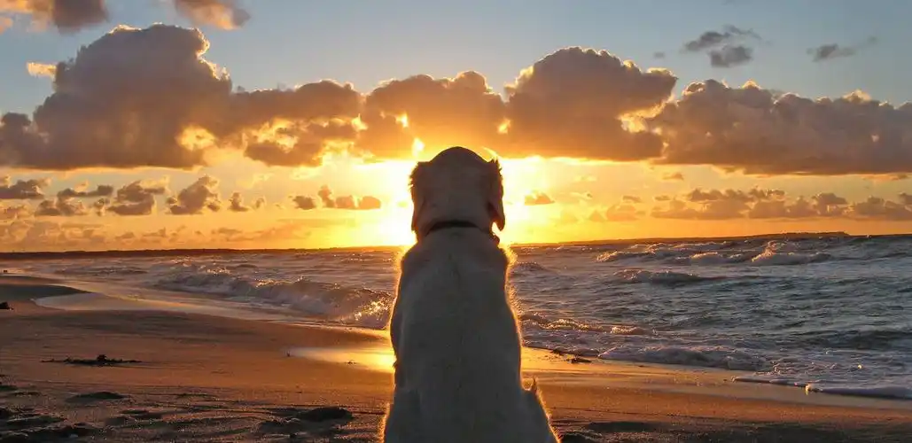 【写在陌陌上市时】再见,lbs 社交