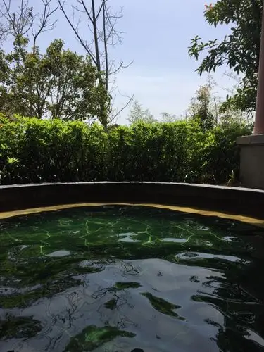 灰汤温泉华天城旅游度假区