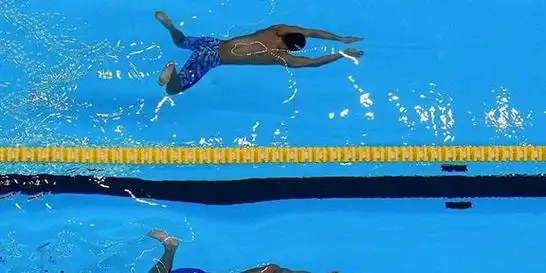 国际泳联承认的游泳姿势是哪几种?|蛙泳|仰泳|蝶泳_网易订阅