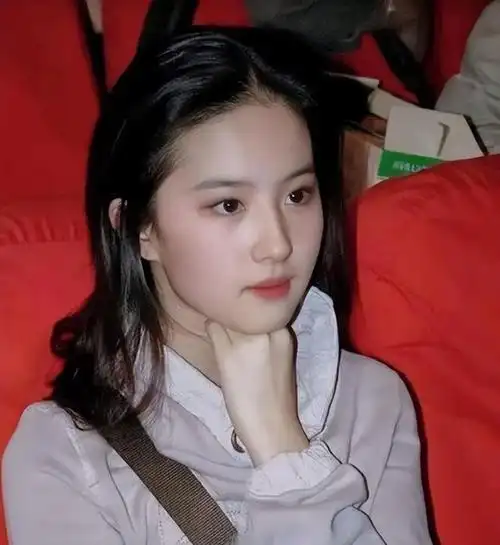 刘晓莉:做得最正确的决定就是抛弃美国丈夫,带刘亦菲