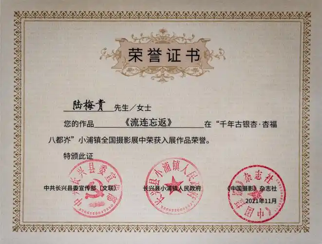 荣誉证书"水晶晶"南浔全国摄影大展"千年古银杏61杏福八都岕"小浦镇