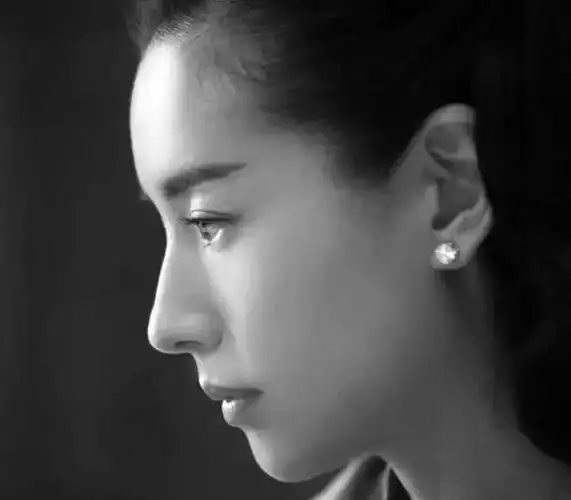 漂亮的鼻子真是加分项,这些女明星的名品鼻太让人羡慕了