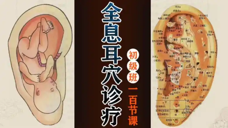 4耳穴定位对耳屏部位