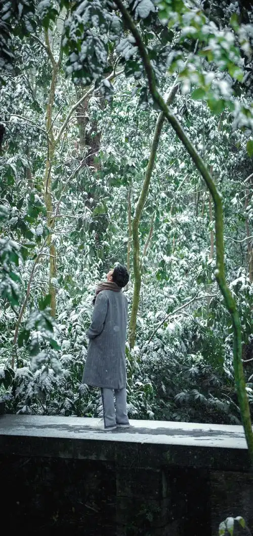 肖战冬至竹林大片