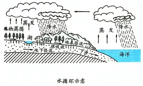 看了水循环示意图后