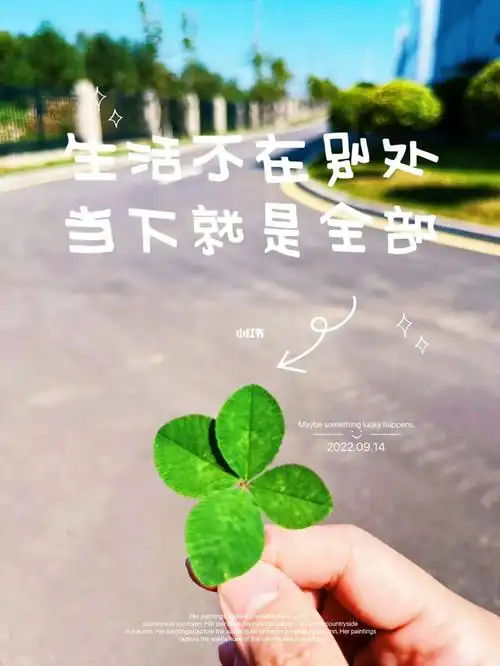 祝好运!四叶草92