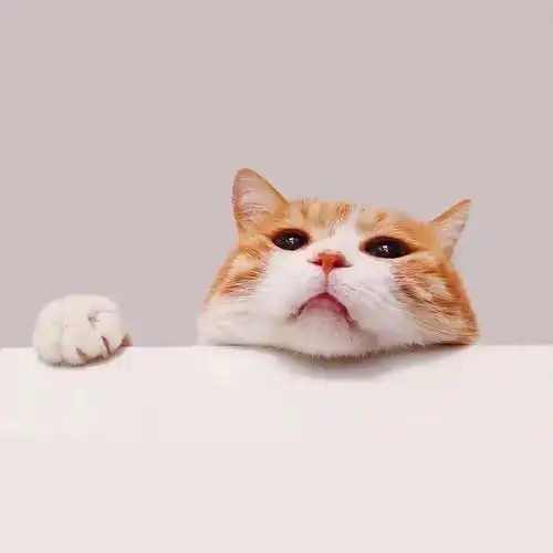 朋友圈个性背景封面图