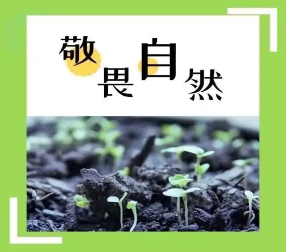 爱格乐幼儿园"尊重自然,敬畏生命"主题之水培绿豆——停课不停学 线上