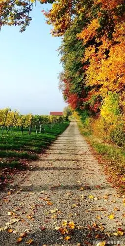 适用于手机锁屏壁纸的高清风景图,建议大家收藏,避免找不到了!