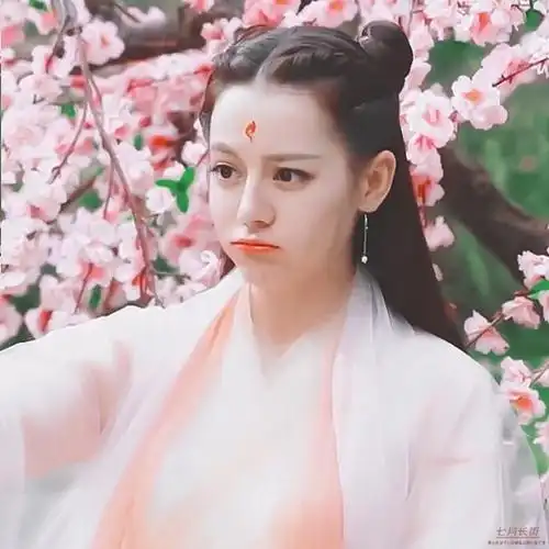 迪丽热巴 白凤九