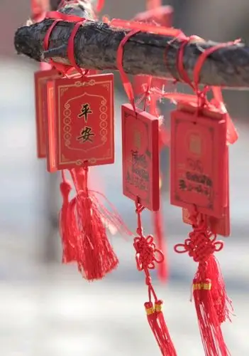 许多人也会在过年的时候祈求新一年的美好和幸福,毕竟亲人平安在人们