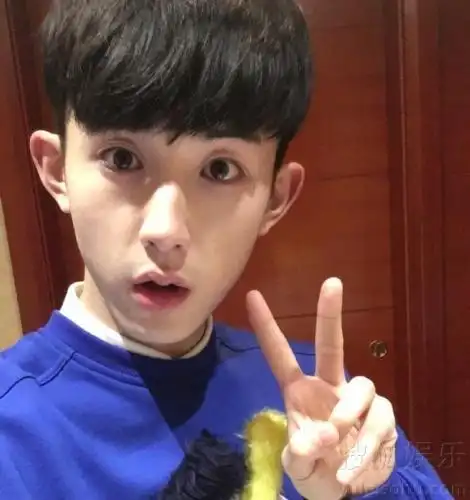 郭俊辰自拍比v.