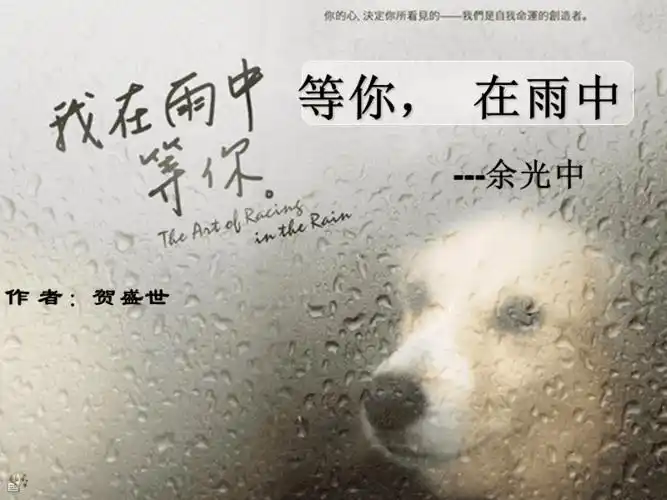 等你在雨中余光中ppt