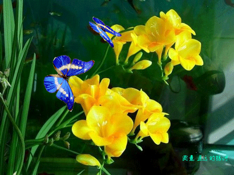 462_347gif 动态图 动图