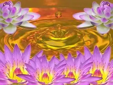 愿生西方净土中,九品 - 抖音