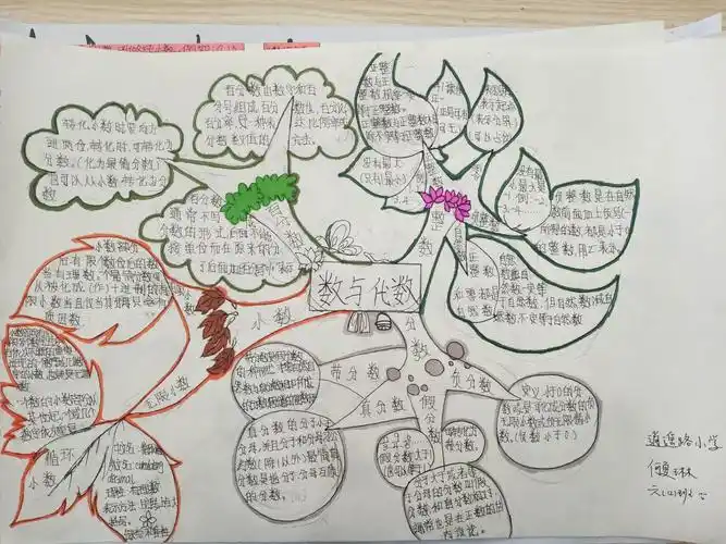 六(12)班部分学生的思维导图之《数与代数》