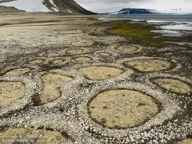 在哪里可以看到典型的冻土地貌?