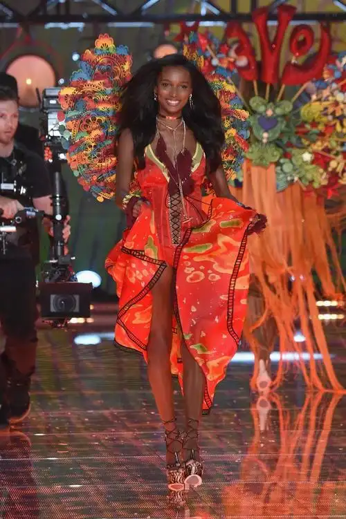 2015年维多利亚的秘密内衣时装秀