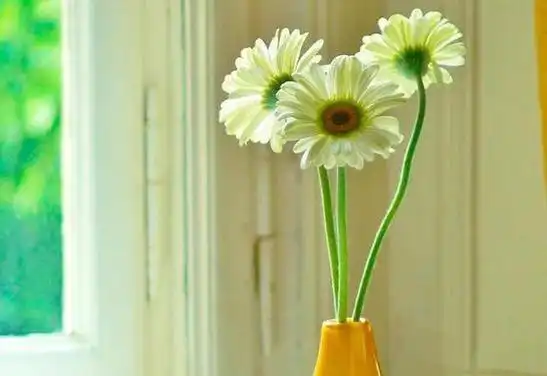 退网,落网?一字之差结局大不同!吴亦凡的事给男人提个醒