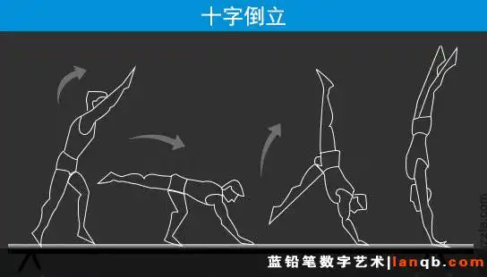 影视知识参考资料体操分解动作图