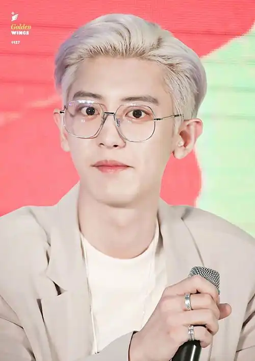 只看审美你们觉得exo朴灿烈帅吗