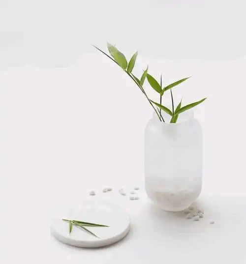 sunflower语录|干净睿智的句子,净化心灵,重启人生