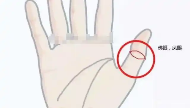 凤眼纹和佛眼纹的区别