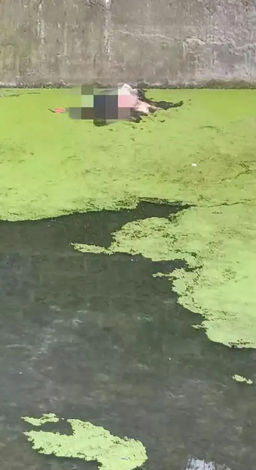 遂宁年轻女子掉入河中不幸身亡,官方发布警情通报!