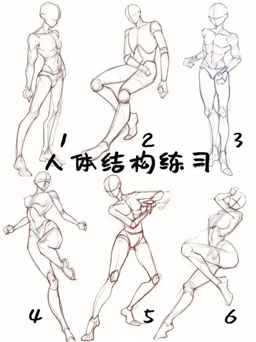 人体结构练习画画打卡自学手绘人物⑧