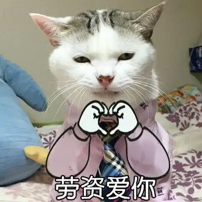 劳资爱你,比心 - 这是一只有大哥风范的喵_猫咪_喵星人表情