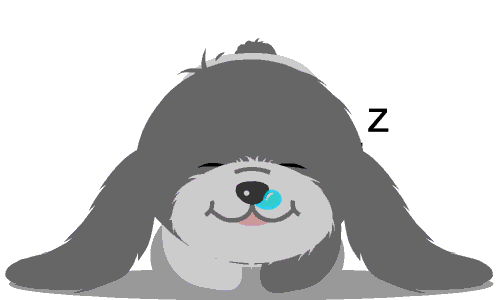 500_300gif 动态图 动图