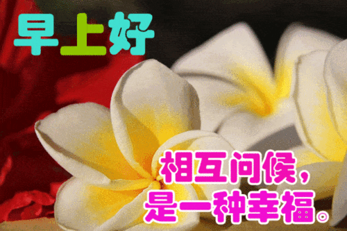 11月25日最漂亮早上好动态表情图片大全早晨好动图美图大全