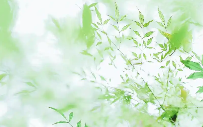 简约小清新风格唯美图片桌面壁纸