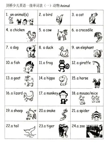 剑桥少儿英语一级单词表animals