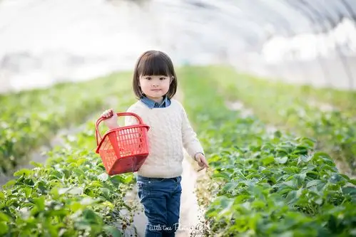 求图片 一个小女孩 七八岁 手里拿着一盒草莓 万分感谢
