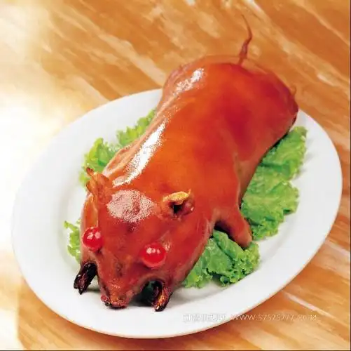 泰州冷鲜乳猪批发今日猪价