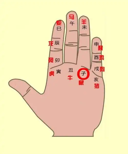 十二生肖傻傻分不清?轻松记忆"地支掌",学会了一辈子受益