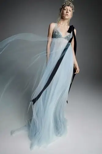 vera wang(王薇薇)2019秋冬婚纱系列