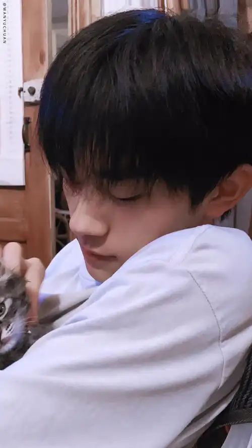 76易烊千玺 "他和他的猫" - 堆糖,美图壁纸兴趣社区