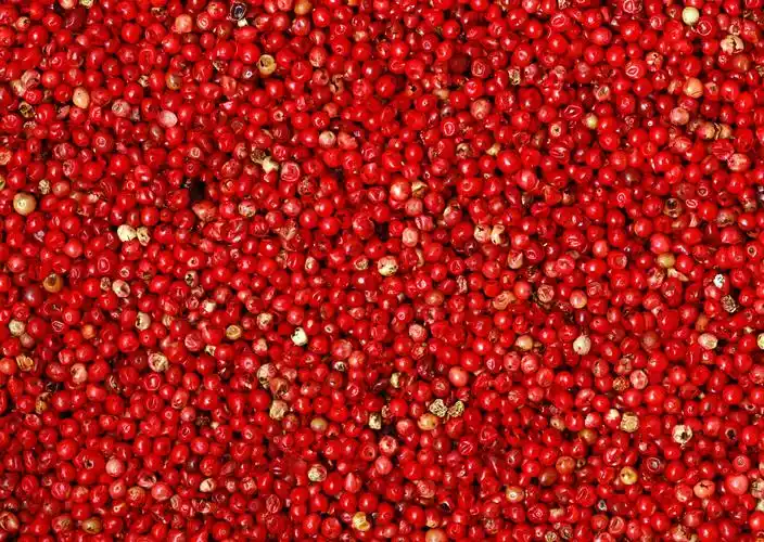 红色细小颗粒水果