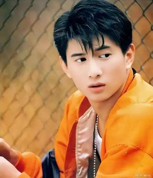 男星年轻时能有多帅除了沈腾沙溢他们的颜值让你一眼万年