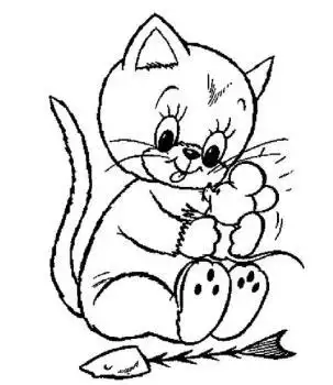 卡通猫图案简笔画 简笔画图片大全-普车都