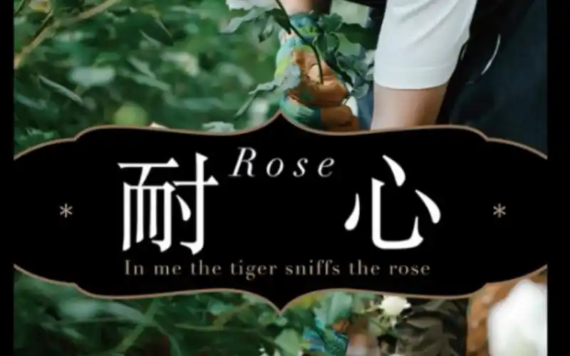 【耐心·玫瑰】爱是恒久忍耐,又有恩慈.